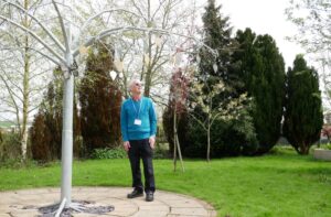 A man looking at the memory tree